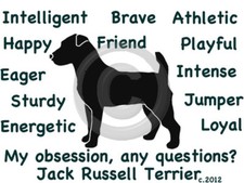 Jack Russell Terrier