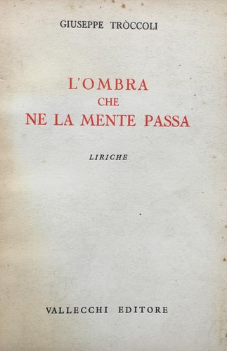 Ombra che mente passa - l'ombra,