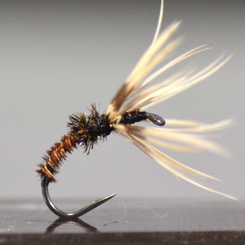 Pavone tenkara kebari mosca - pavone,