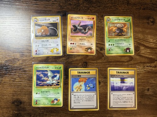 Pokemon eroi palestra - pokemon,