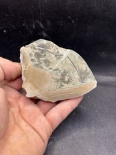 Minerali septaria panaro - **,