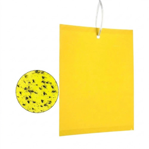 Trappole appiccicose mosche - 50,
