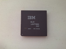IBM Blue Lightning DX2
