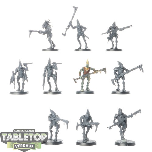 Tau empire 10x kroot - empire,