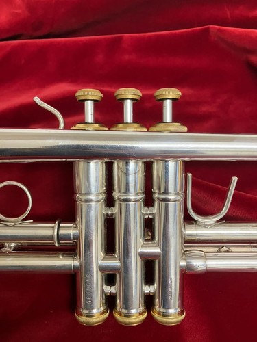 Tromba sib stomvi - tromba, elite