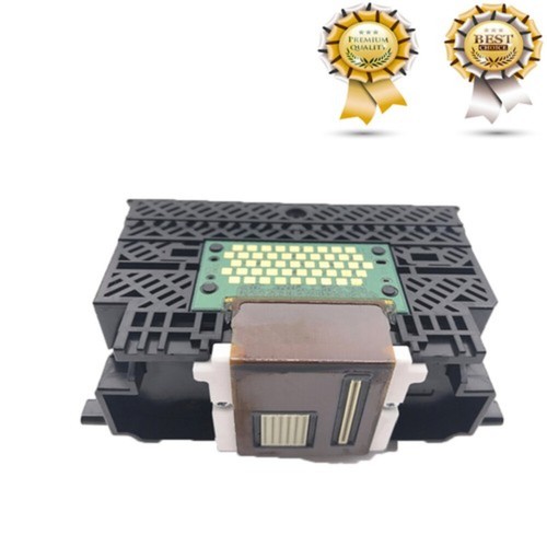 Qy6 0066 - qy6-0066, testina