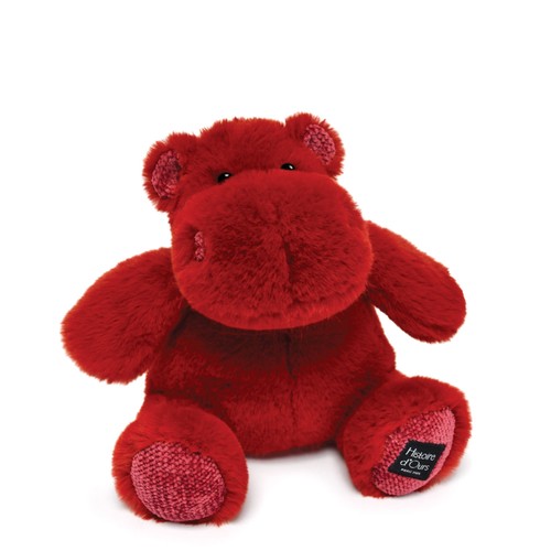 Histoire ours peluche - histoire,