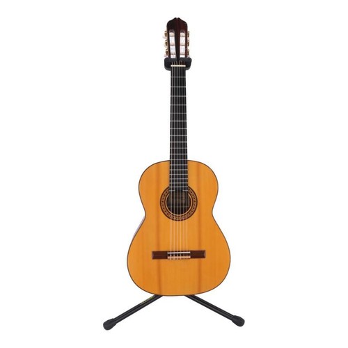 Raimundo chitarra acustica - chitarra,