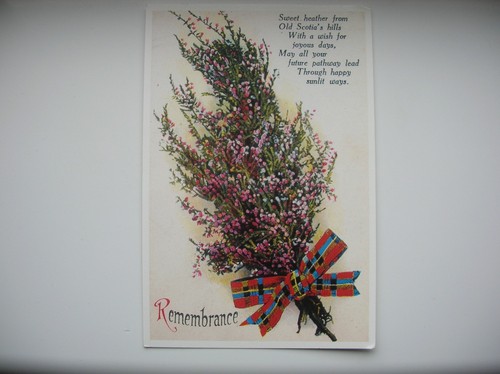 White heather remembrance - heather,