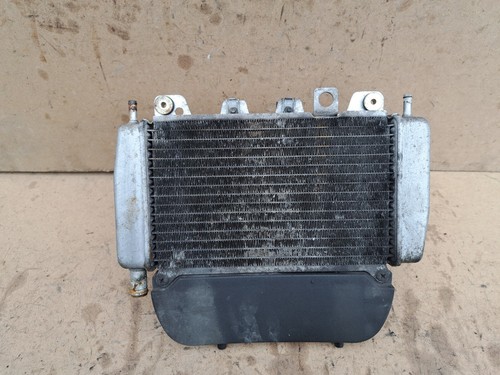 Piaggio 125 radiator - piaggio,