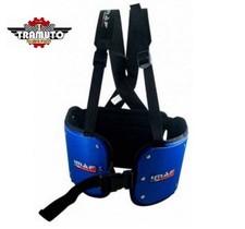 CORPETTO PARACOSTOLE IMAF