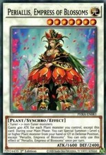 YUGIOH Mazzo di Piante Completo 40 - Carte + Extra