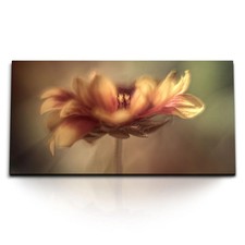 Quadri stampa artistica 120x80