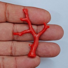 Ramo corallo rosso - corallo,