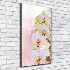 Tulup print wall - art,