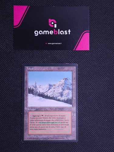 Magic mtg taiga foreign - mtg, |