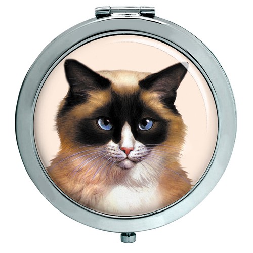 Gatto ragdoll specchio - gatto,