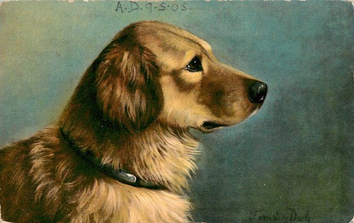 Artist signed puppy golden - puppy, /