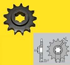 PIGNONE PBR  ACCIAIO Z 13  TM