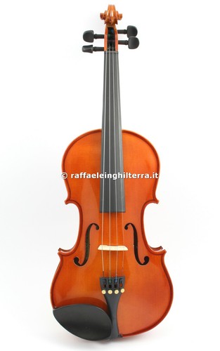 Domus rialto violino vl1000 - domus,