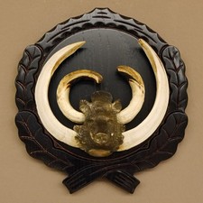 Armi Da Cinghiale (Sus Scrofa) CIC 114,65 IP Trofeo Cinghiale