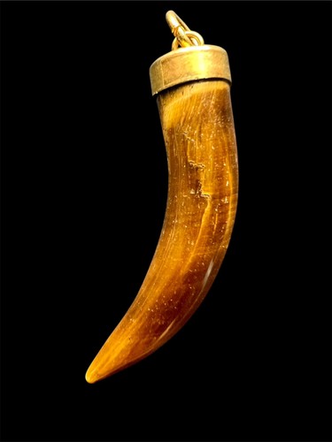 Ciondolo dente tigre occhio - dente, di