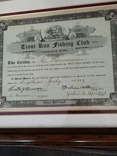 Mazza pesca trota corsa - da,