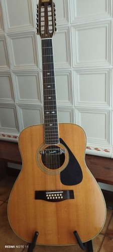 Chitarra acustica vintage - , 12