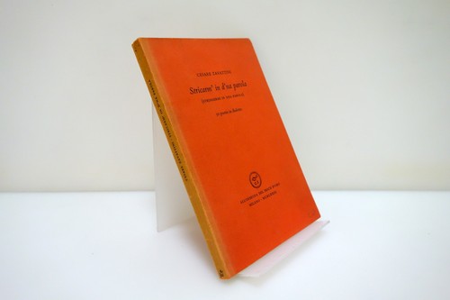Cesare zavattini stringermi - cesare,