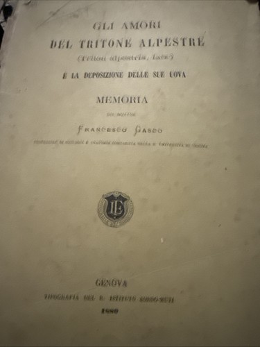 Gli amori del - del, tritone