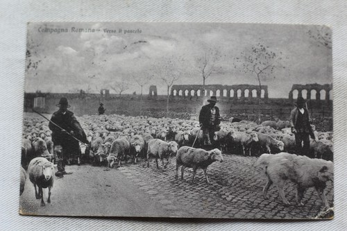 Cpa 1929 campagna romana - cpa,