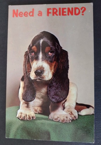 Very cute dog postcard - very, puppy