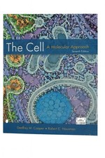 Brand New The Cell: A