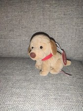 Cane Trudi piccolo nuovo
