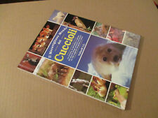 Il Meraviglioso Mondo Dei