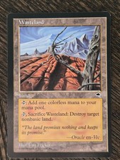 Wasteland Tempest MTG *NM*