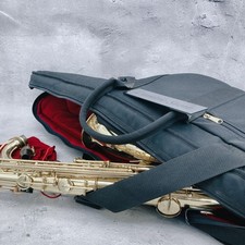 YAMAHA YTS-24II e custodia