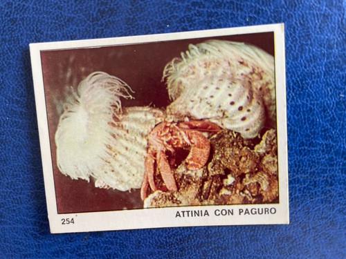 Panini album mondo degli - il,