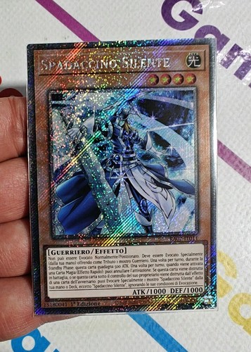 Spadaccino silente silent - •, (silent