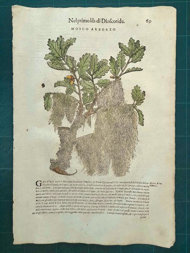 Mattioli matthioli erbario - matthioli,