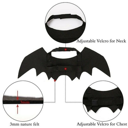Cane gatto cosplay - cane,