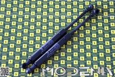 Coperchio Del Cofano Anteriore Gas Struts Ferrari 599