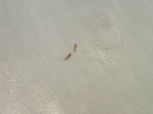 Roco coppia fischi ottone - fischi, per
