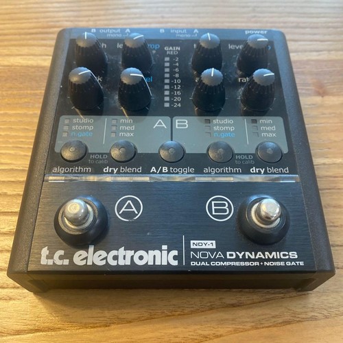 Electronic nova dynamics - t.c.,
