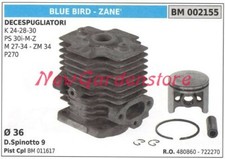 Cilindro pistone segmenti BLUE