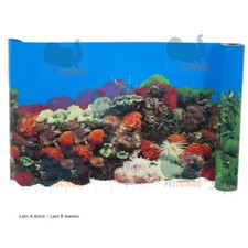 Sfondo per acquario carta - acquario,