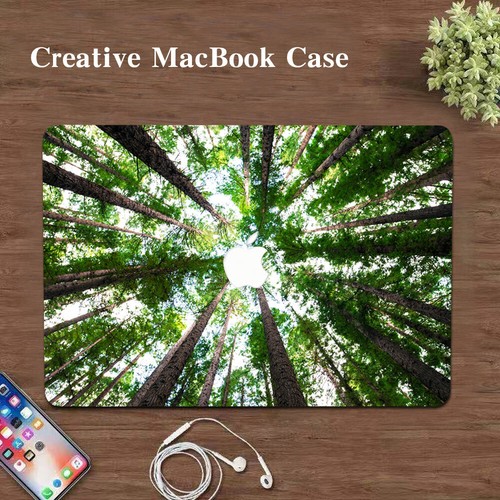 Custodia opaca foresta - , di
