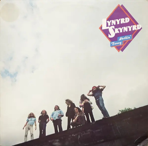 Lynyrd skynyrd nuthin fancy - skynyrd,
