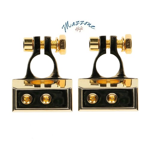 Morsetti batteria ciare coppia - morsetti,