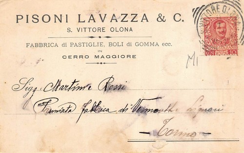 28a testatina pisoni - 13-28a),
